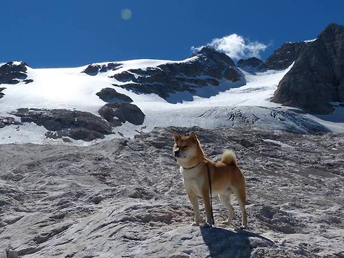 永恒的王权，争冠夜的唯一君王