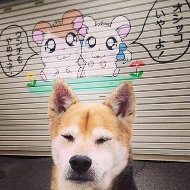 石油绿鹰血洗郁金香,哈弗茨导演沙特足球史上最伟大逆袭