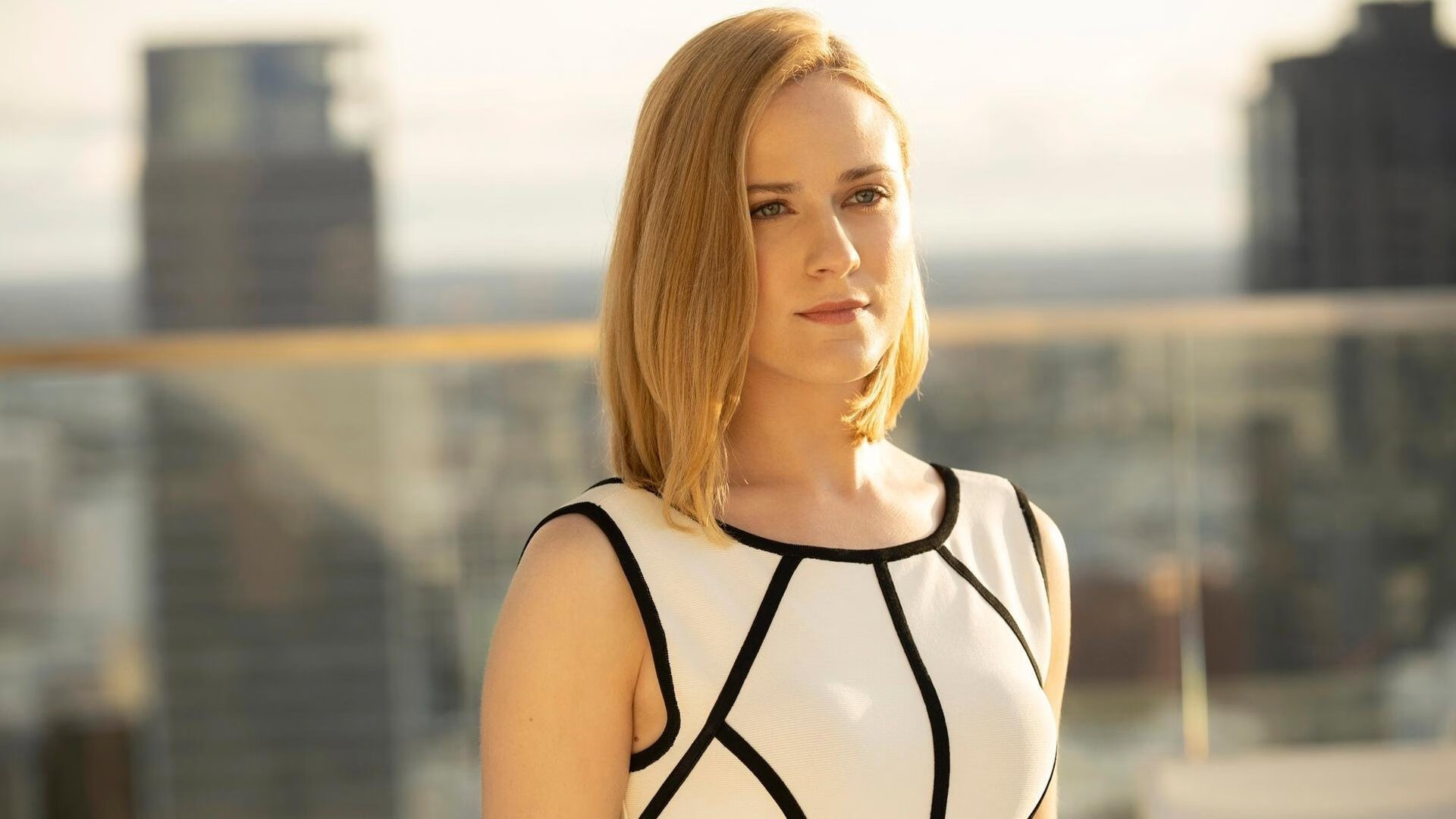 引擎蜂鸣，深圳街道上黄蜂族群的终极狩猎