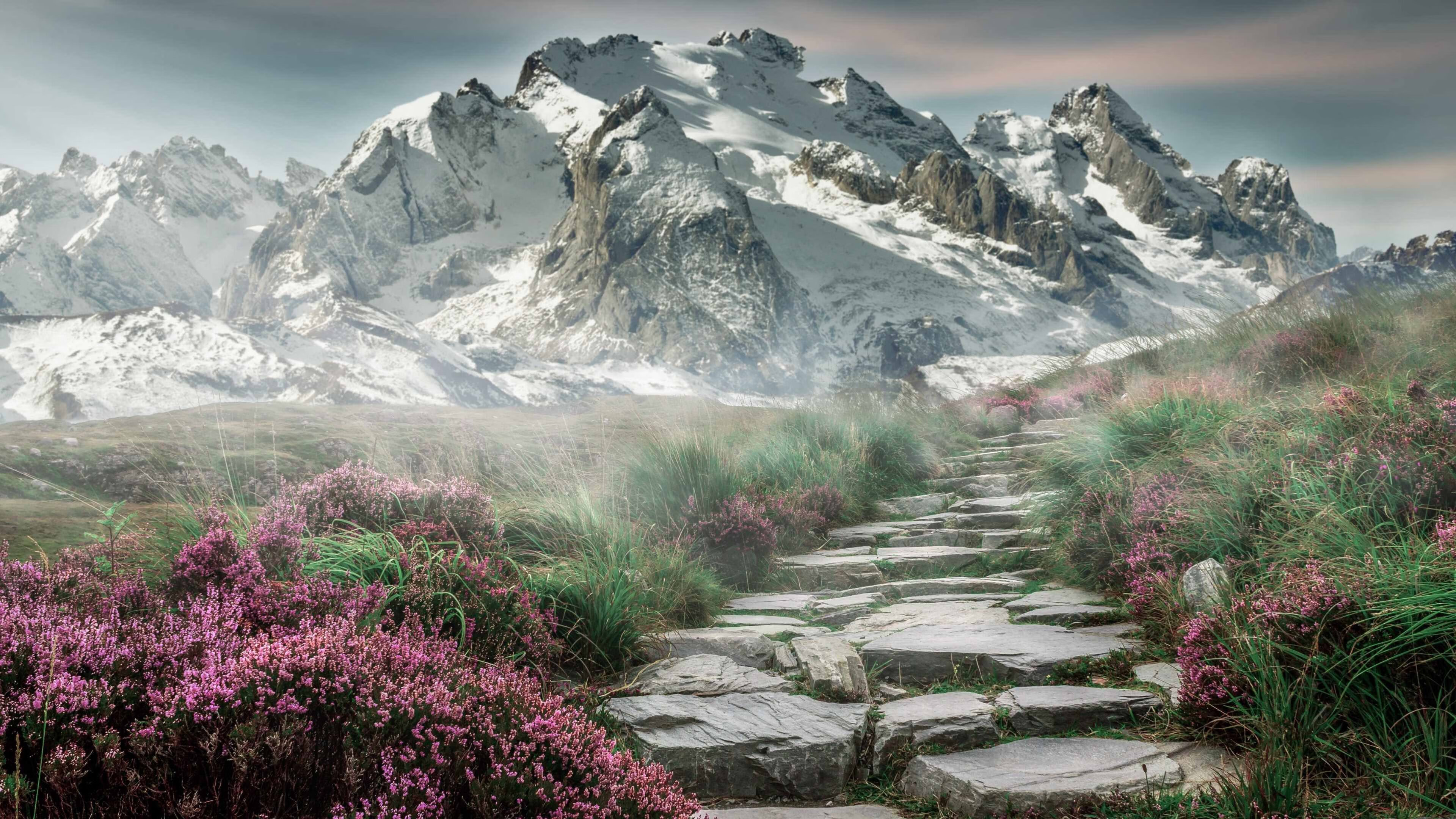 篮坛双面镜,塔图姆绝杀定乾坤,活塞狂胜显锋芒