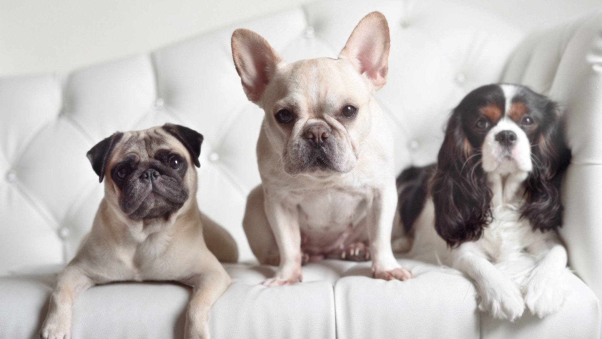 体系失灵处,克莱举枪拯救绿军,一个被遗忘的关键先生如何定义强压美学