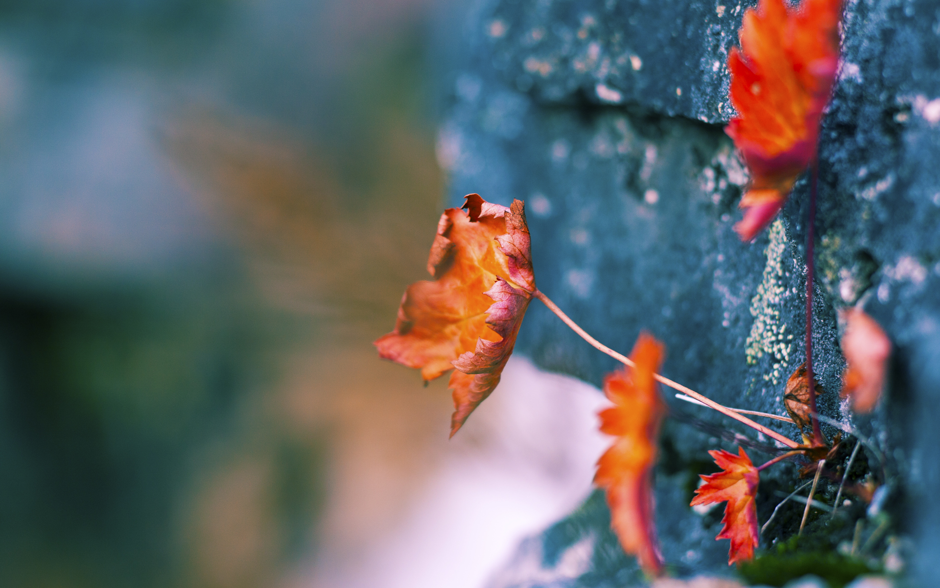 绿茵场上的绝对主宰，个人魔法与战术铁幕的双重奏
