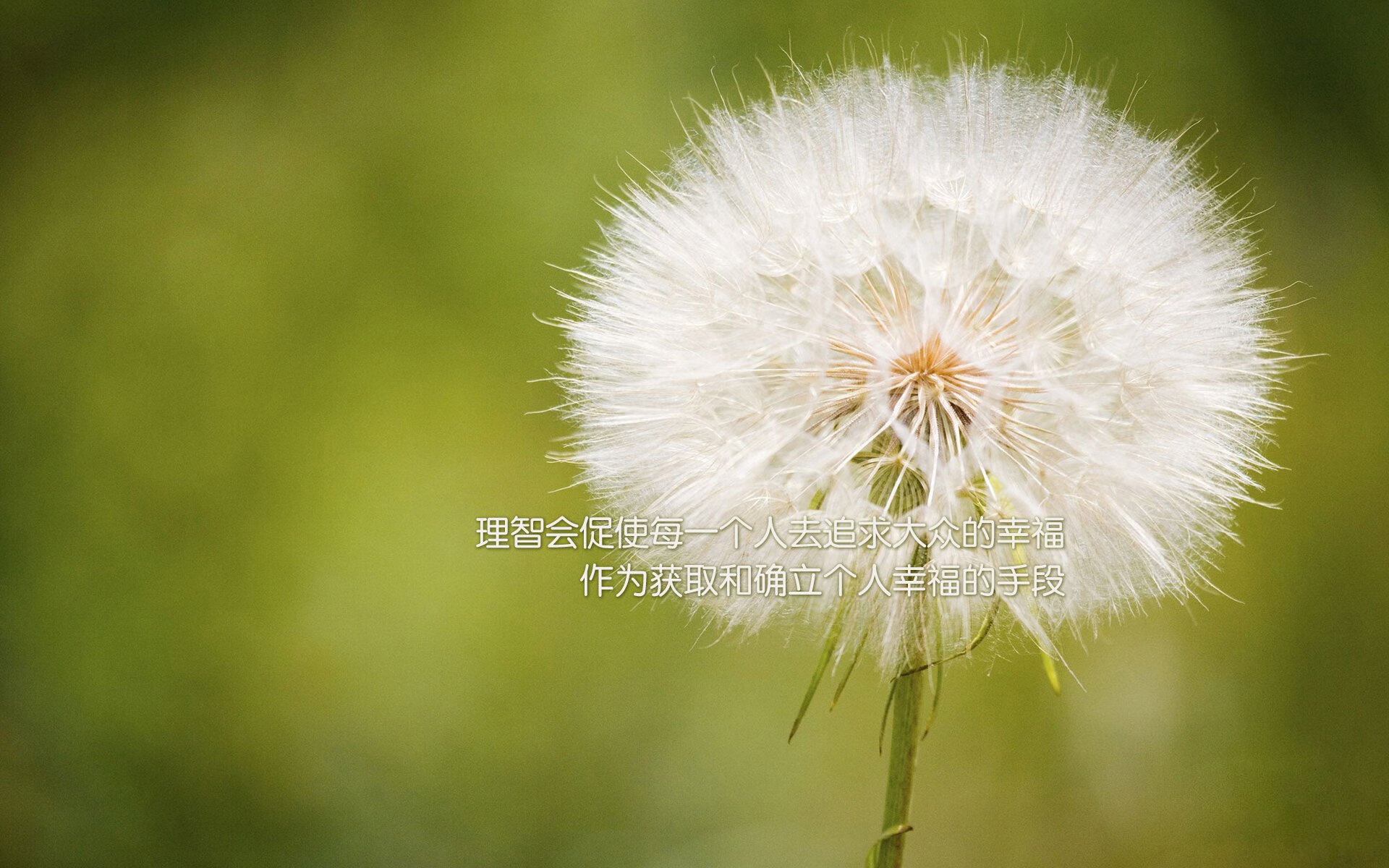 节奏大师，从塔图姆的证明之战到深圳队的掌控哲学