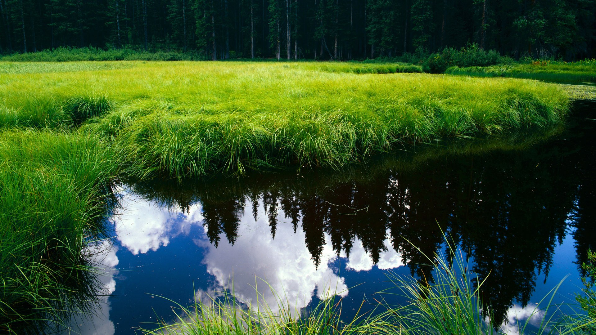 烽火重燃!萨内一剑封喉!奥运关键战曼城险胜卡塔尔,德国飞翼成胜负手