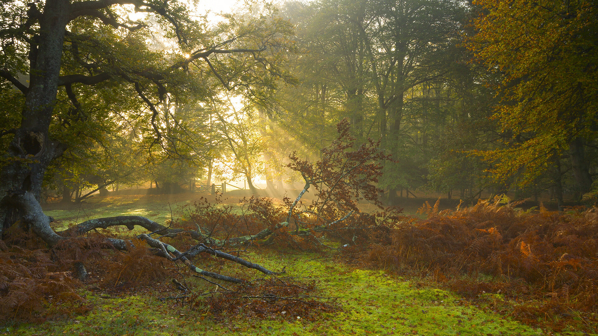诺坎普奇迹，无人看好的阿克如何一球击碎拜仁神话？