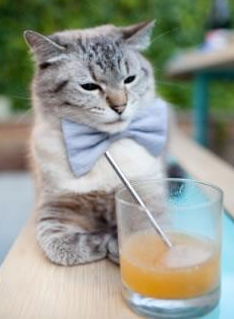 点睛之笔，欧文存在感拉满，浙江队压哨击败山西队