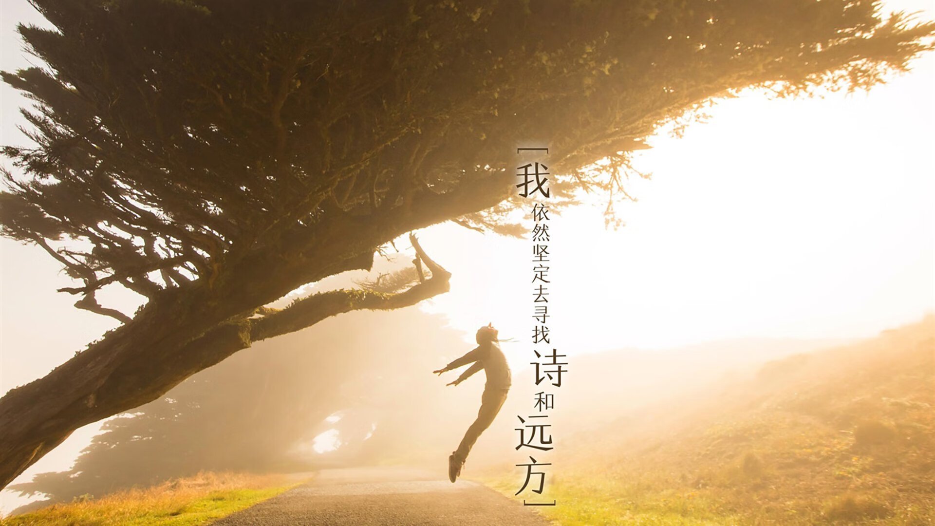 2026，那个让评分系统失效的夜晚