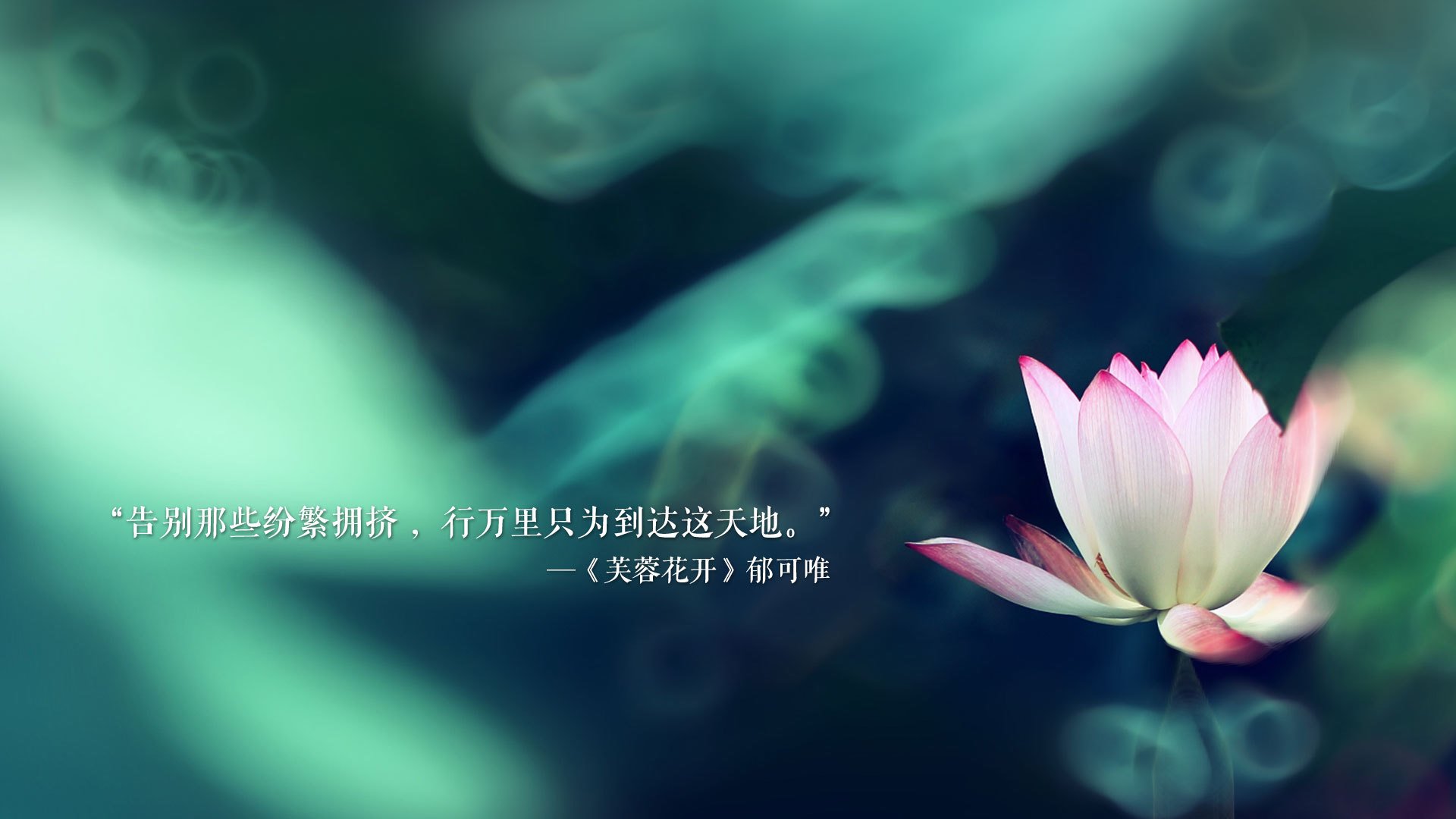 冰与火之歌,当钢铁意志熔穿布拉格之春—2026世界杯,一场属于唯一的哥伦比亚式绝杀